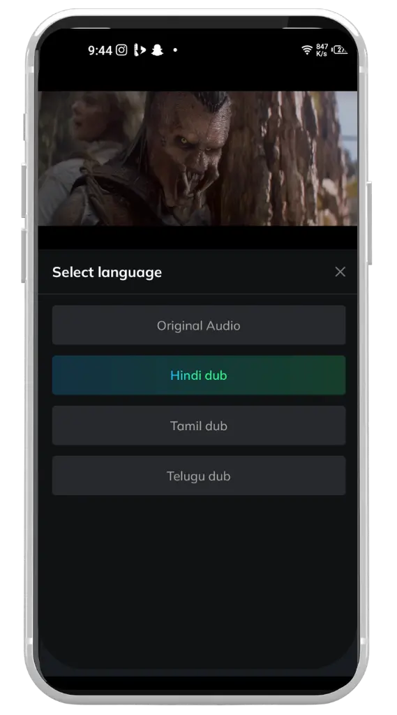 Multiple Audio & Subtitle Support